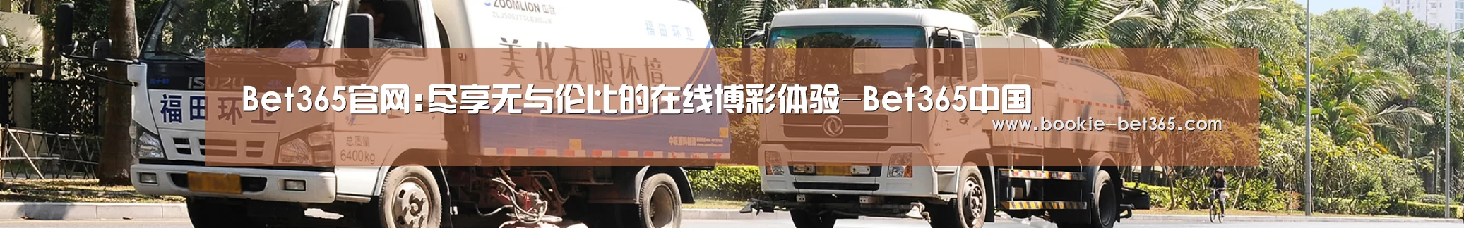 成功案例