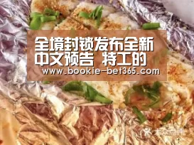 全境封锁发布全新中文预告 特工的旅程充满阴霾‘bet365体育app’(图2) bet365体育在线